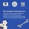 image:imageQtips Precision Tips Cotton Swabs 2Pack 170 Ct Ea170 Count Pack of 2